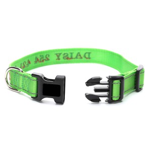 western dog collar western dog collar