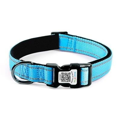 Smart Dog Collar